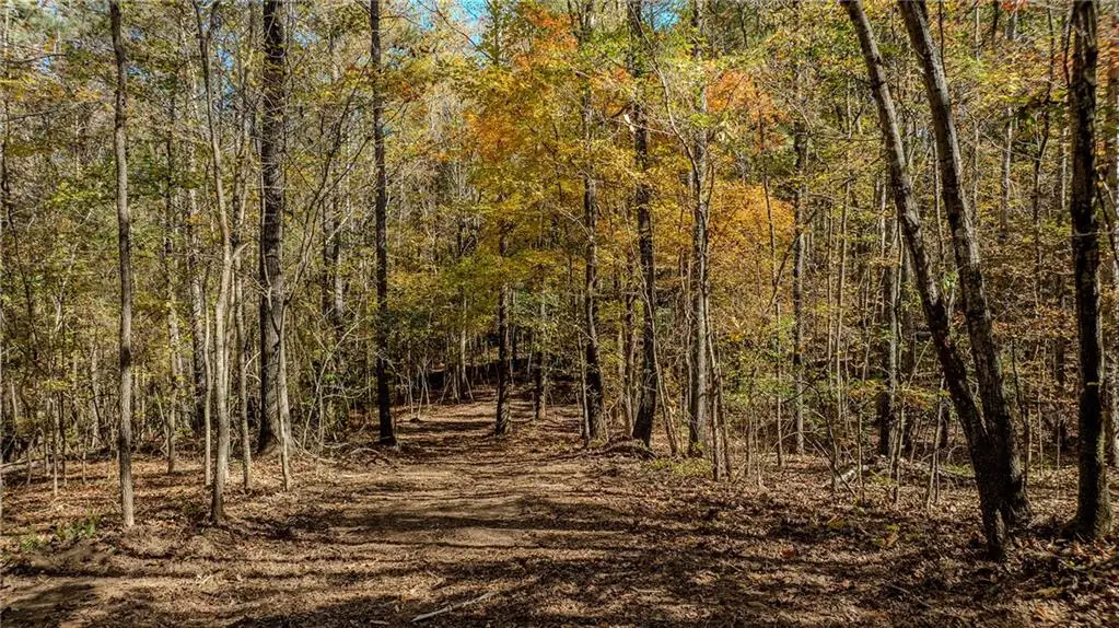 0 Jones Ferry Road, Chattahoochee Hills, GA 30268 - #1