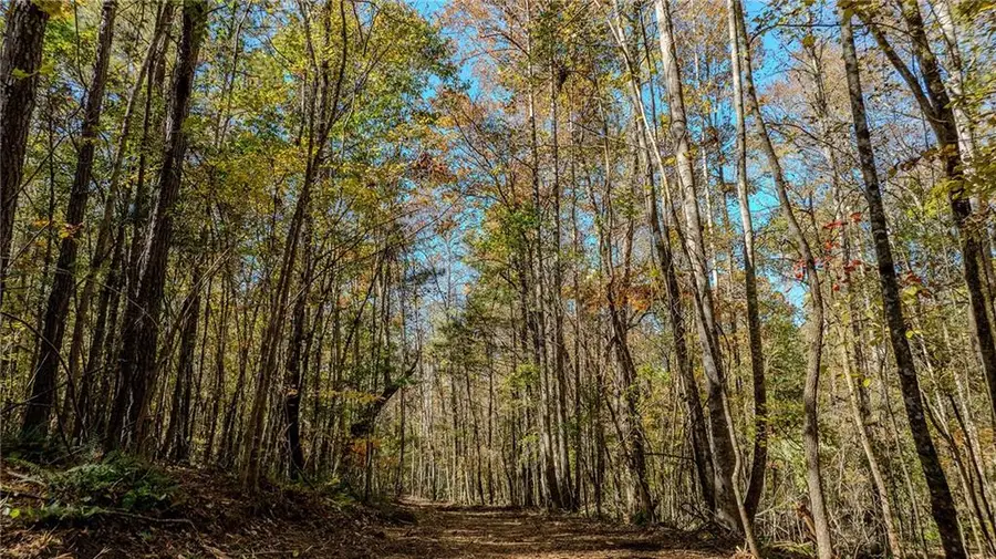 0 Jones Ferry Road, Chattahoochee Hills, GA 30268 - #3