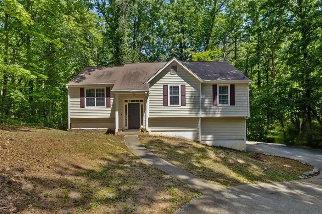 3138 Skyler Court, Douglasville, GA 30135 - #1