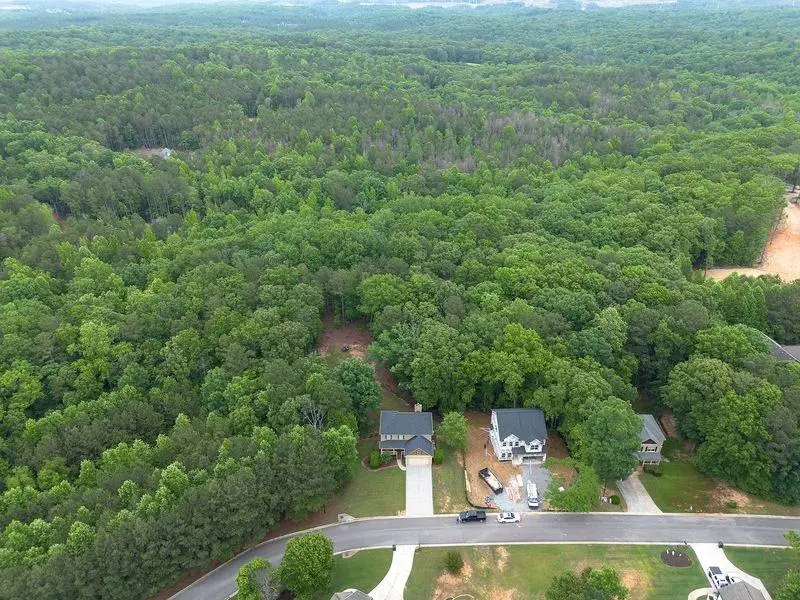 305 Birchwood Farms Lane, Dallas, GA 30132 - #2