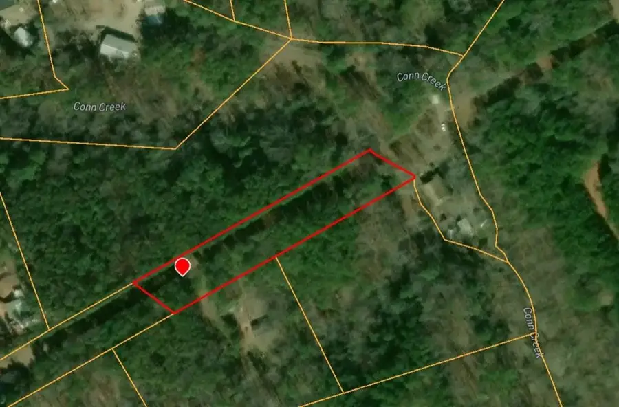 0 Reavis Road, Ball Ground, GA 30107 - #2