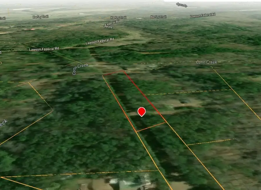 0 Reavis Road, Ball Ground, GA 30107 - #3