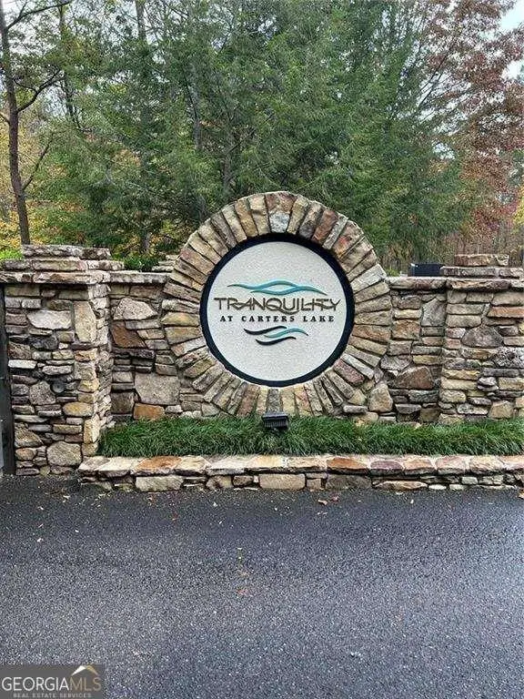 0 Doll Mountain Road, Ellijay, GA 30540 - #1
