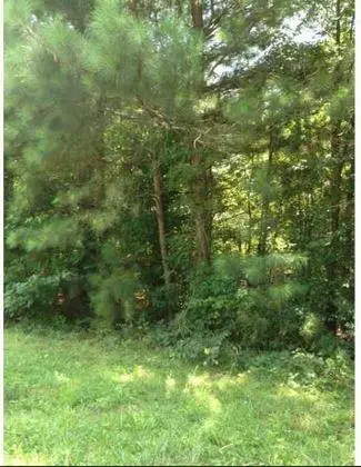 1661 Bennett Road, Grayson, GA 30017 - #3