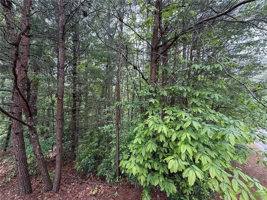 0 Hinterstraten Weg, Helen, GA 30545 - #3
