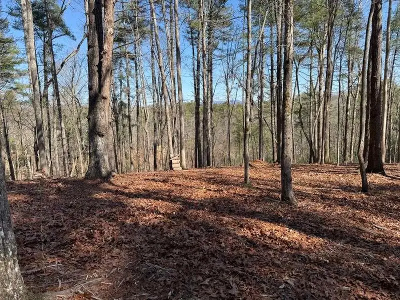 120R Red Oak Trail, Ellijay, GA 30540 - #3