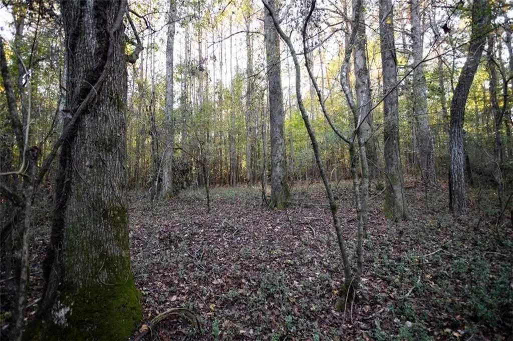 00 Thurman Baccus Road, Social Circle, GA 30025 - #1