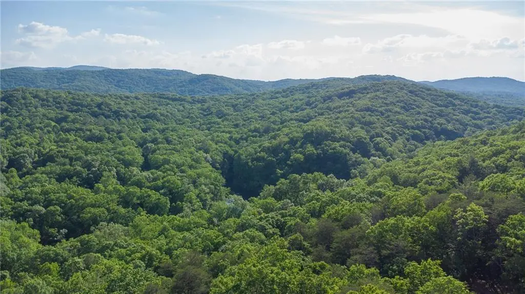 Lot 8 Robert Drive, Ellijay, GA 30536 - #1