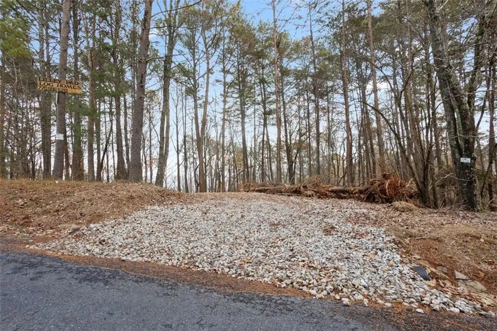 172 Hunter Drive, Talking Rock, GA 30175 - #1