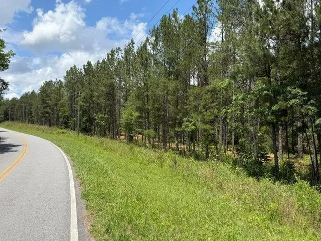 0 Iron Hill Road, Taylorsville, GA 30178 - #1