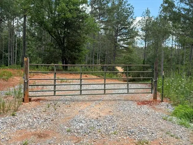 0 Iron Hill Road, Taylorsville, GA 30178 - #2