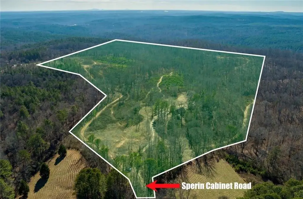 170 Sperin Cabinet Shop Road, Ball Ground, GA 30107 - #1