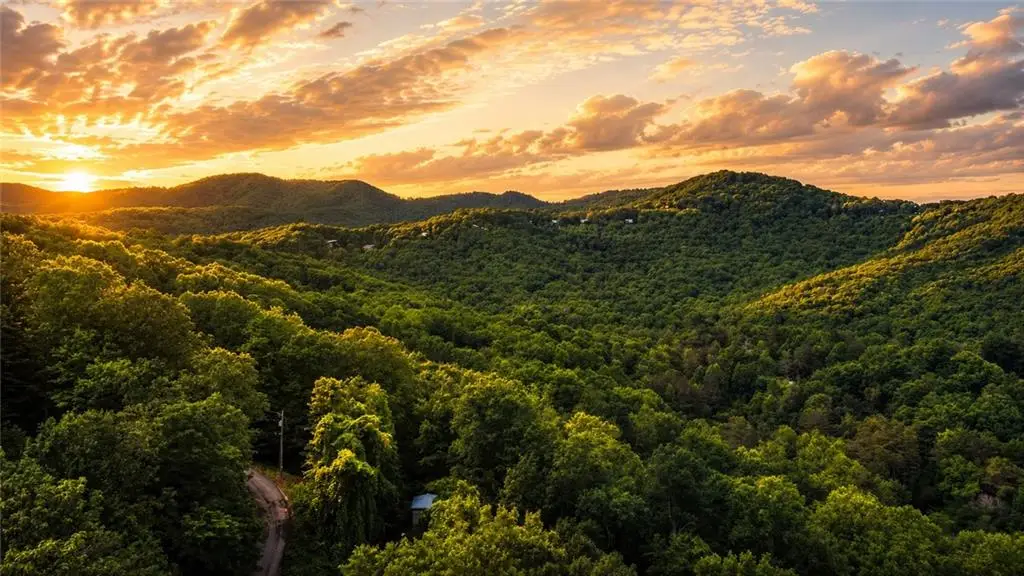 5.58 Gobbler Knob Drive, Ellijay, GA 30540 - #1