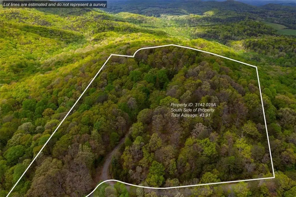 43.91 Old Burnt Mountain, Ellijay, GA 30540 - #1