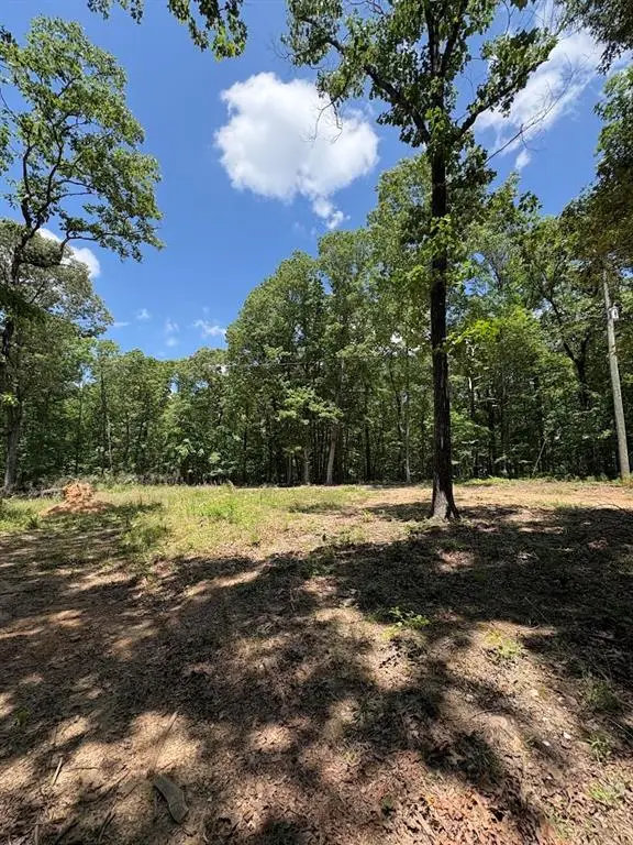 4492 U.s. 78, Tallapoosa, GA 30176 - #1