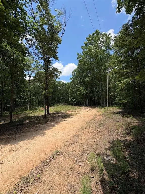 4492 U.s. 78, Tallapoosa, GA 30176 - #3
