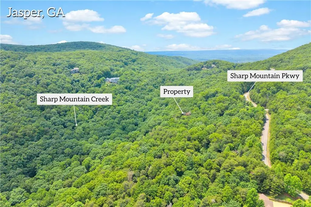 98 Sharp Mountain Parkway, Jasper, GA 30143 - #1