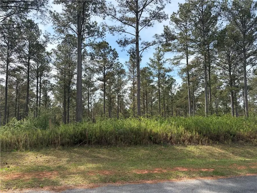 0 Bluff Stone Trace, Marietta, GA 30066 - #3