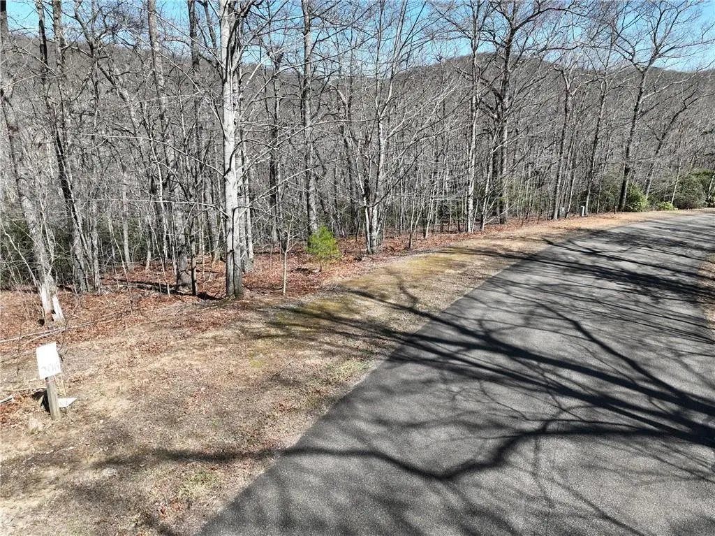 206 Northview Parkway, Ellijay, GA 30536 - #1
