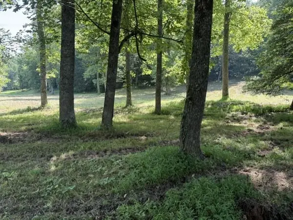 0 Lot 6 Clear Creek Preserve Way, Ellijay, GA 30536