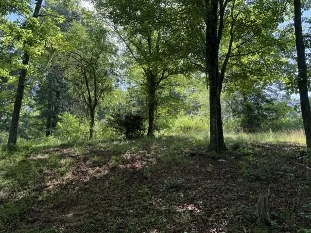 0 Lot 6 Clear Creek Preserve Way, Ellijay, GA 30536 - #2
