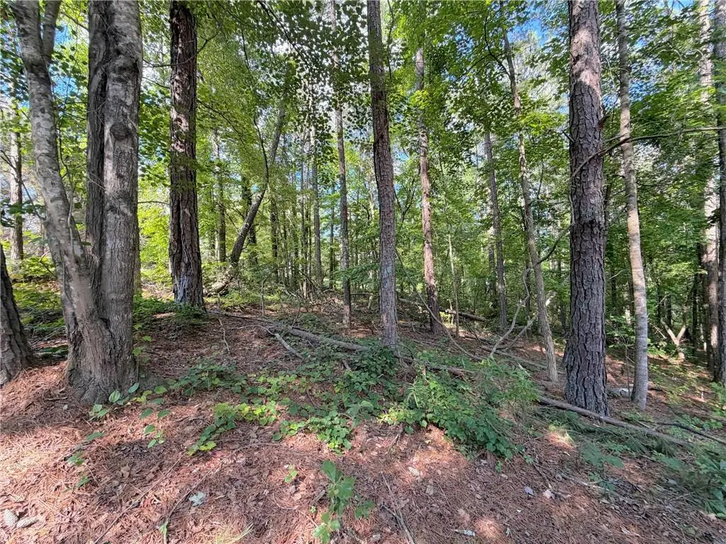 1306 Southgate Drive, Villa Rica, GA 30180 - #1