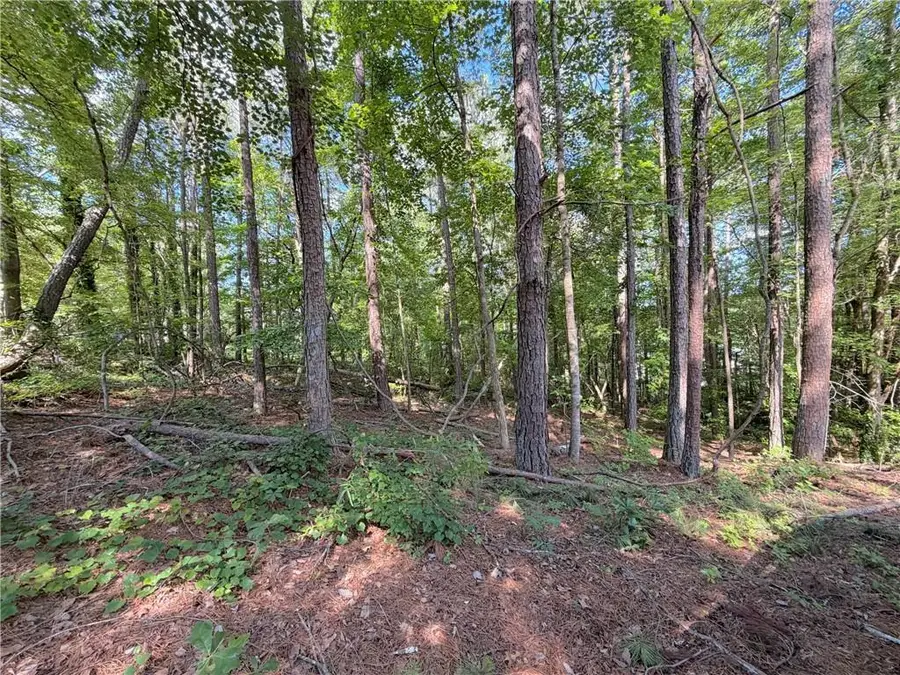 1306 Southgate Drive, Villa Rica, GA 30180 - #3