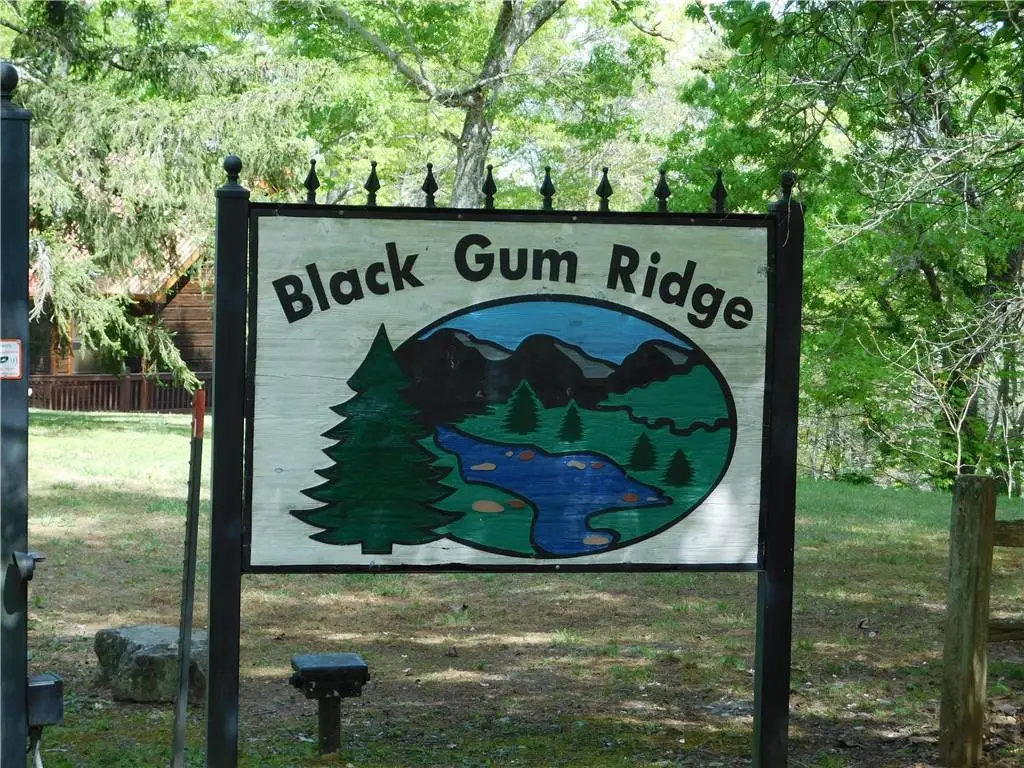 0 Dallas Lane, Blue Ridge, GA 30513 - #1