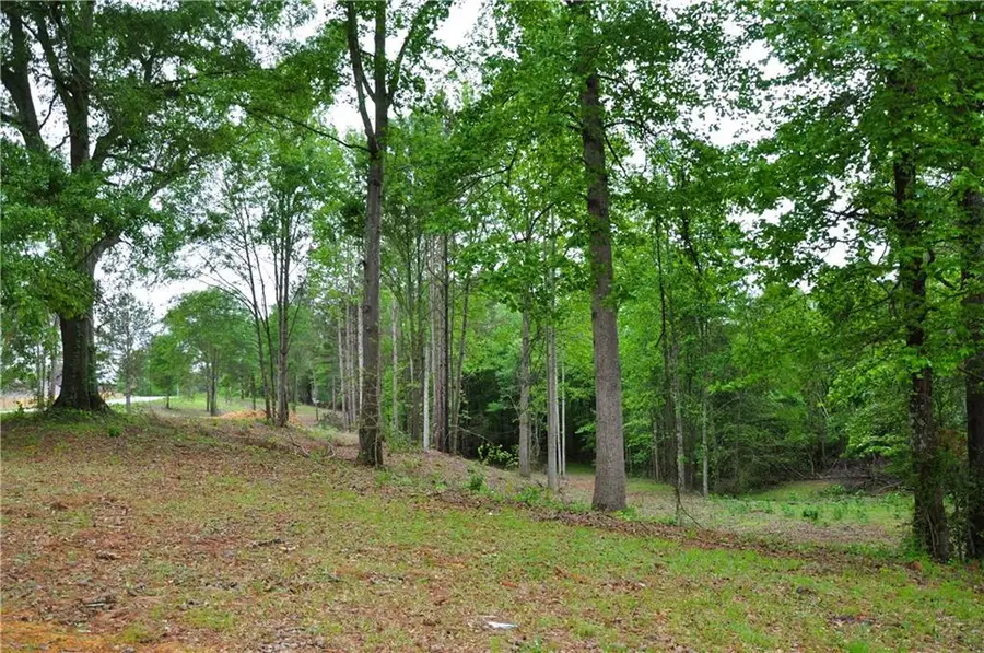 590 Villa Rica Highway, Dallas, GA 30157 - #2