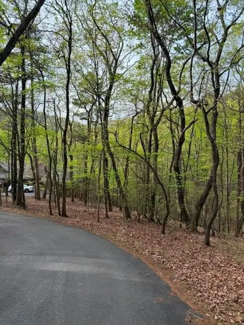 226 Crested Fern Lane, Big Canoe, GA 30143 - #1
