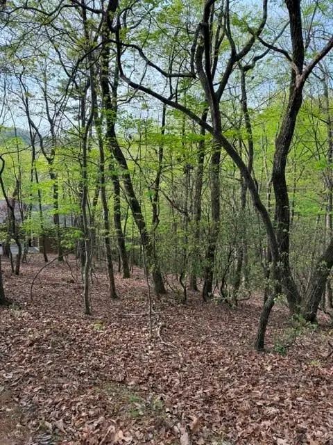 226 Crested Fern Lane, Big Canoe, GA 30143 - #3