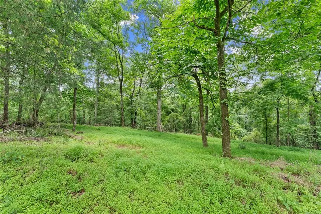 LOT 35 Lakemont Trail, Demorest, GA 30535 - #1