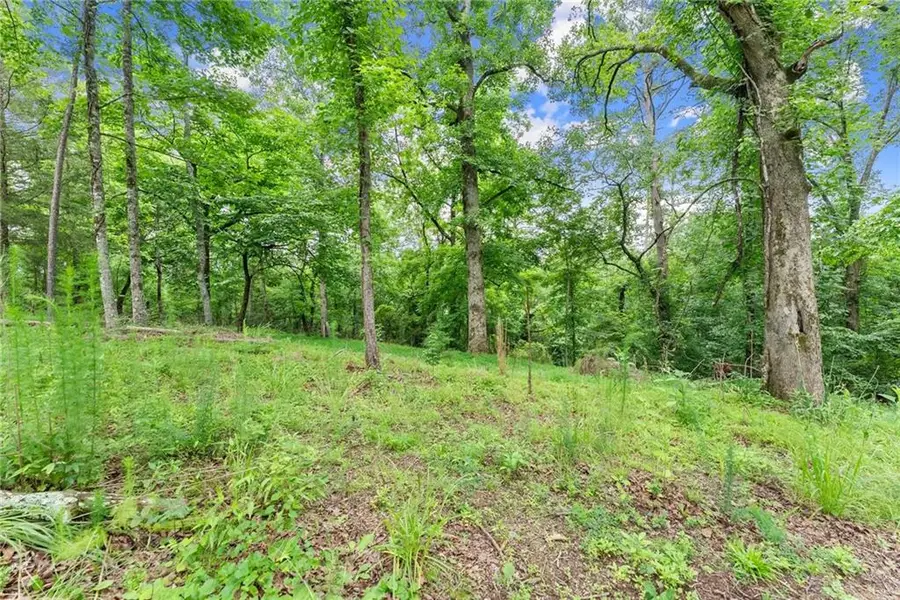 LOT 35 Lakemont Trail, Demorest, GA 30535 - #2