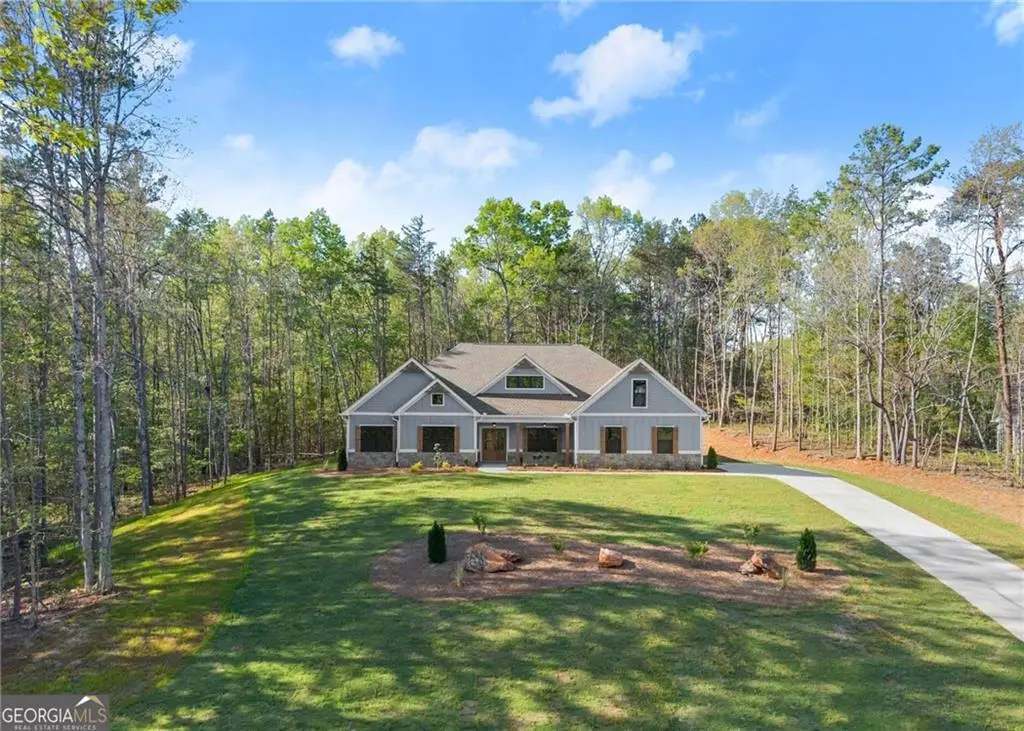 206 Shoals Way, Clarkesville, GA 30523 - #1
