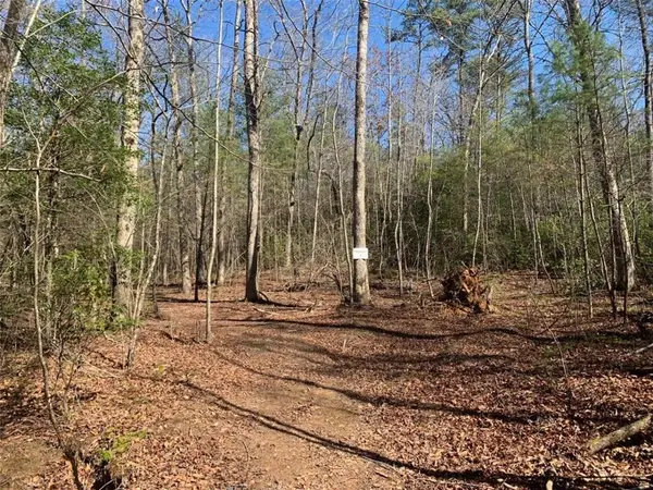 0 East New Hope Road, Ellijay, GA 30536