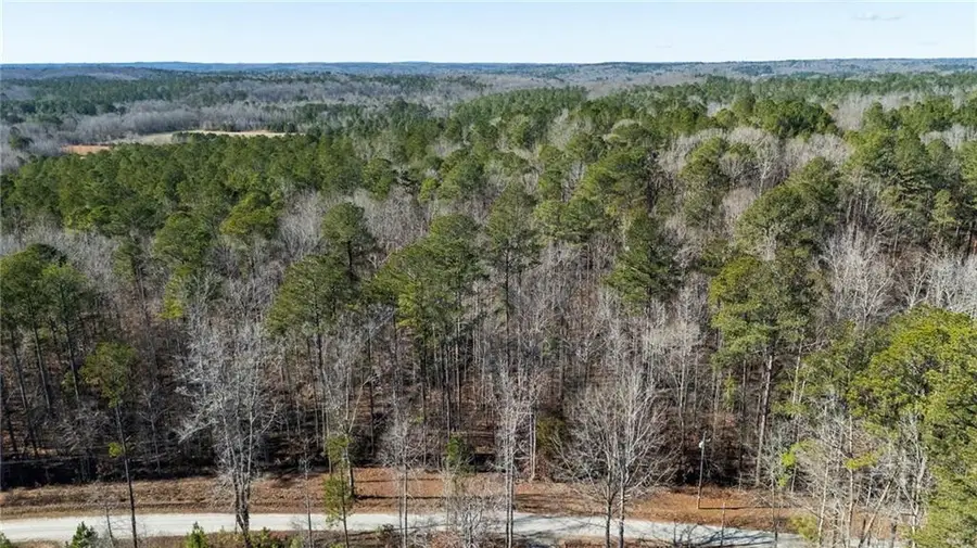 0 Pace Road, Fairburn Union City, GA 30213 - #2