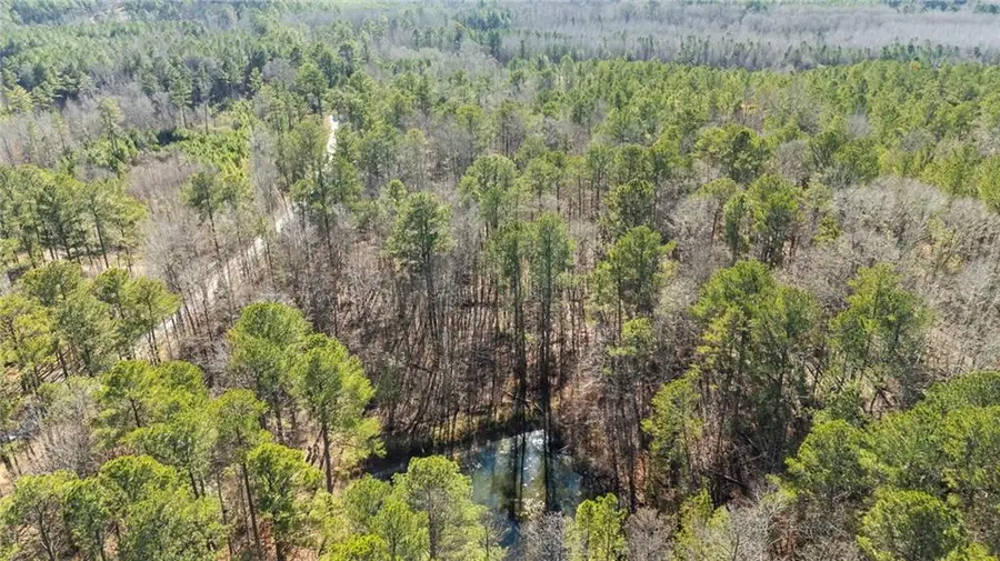 0 Pace Road, Fairburn Union City, GA 30213 - #3