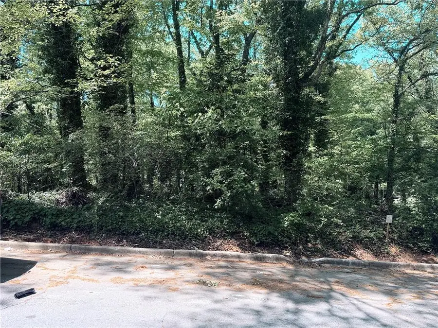 0 Willow Trail Sw, Atlanta, GA 30311 - #2
