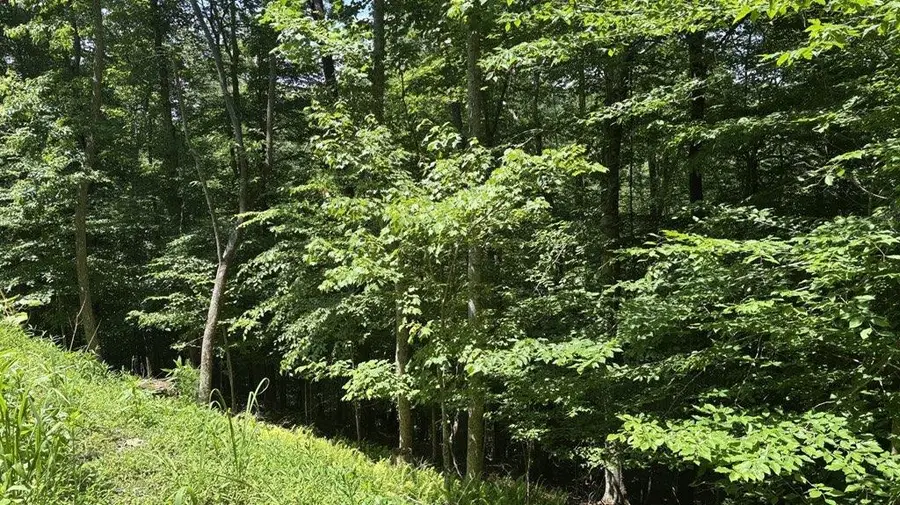 LT 781 Omen Circle, Ellijay, GA 30540 - #3