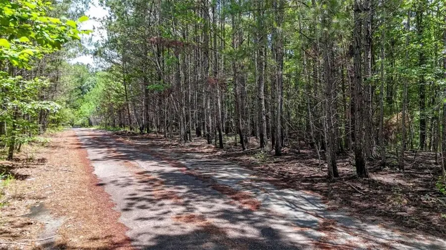 47 Lot, Rockmart, GA 30153 - #3
