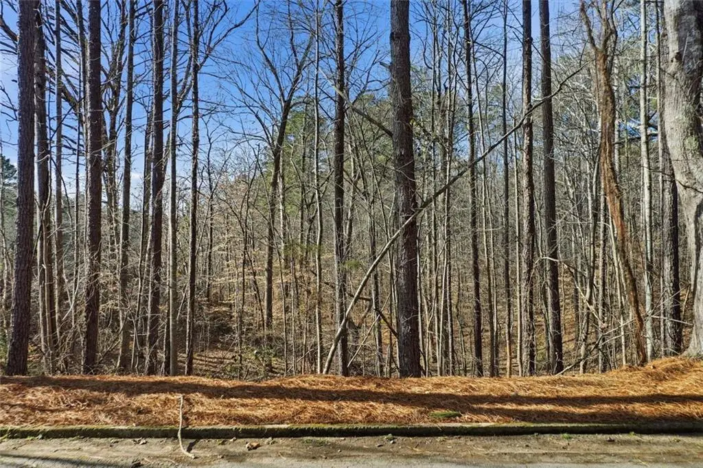 00 Sixes Road, Canton, GA 30114 - #1