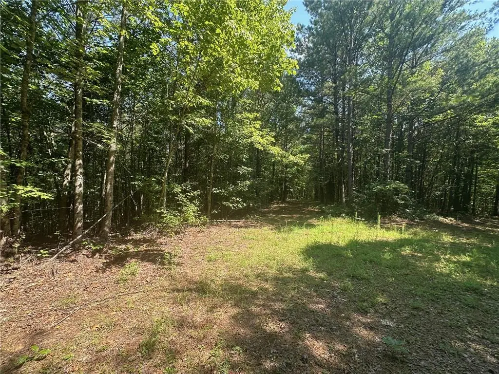40 Patriot View Drive, Dahlonega, GA 30533 - #1