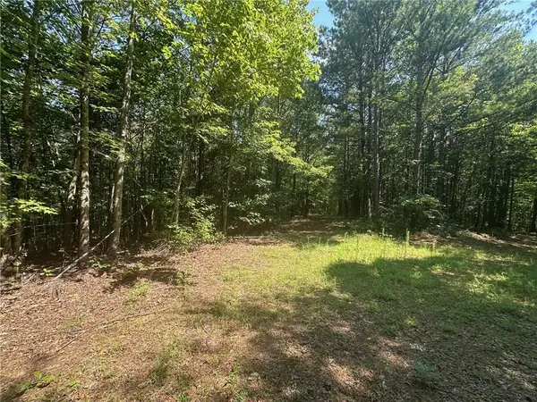 40 Patriot View Drive, Dahlonega, GA 30533
