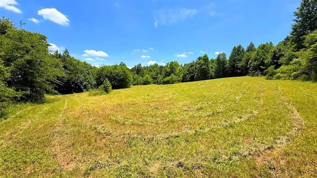 0 Nix Road, Bremen, GA 30110 - #1