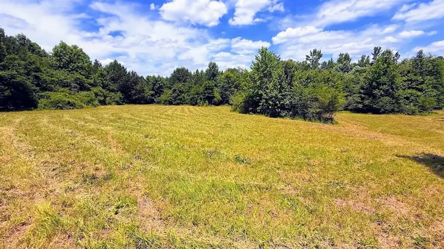 0 Nix Road, Bremen, GA 30110 - #3