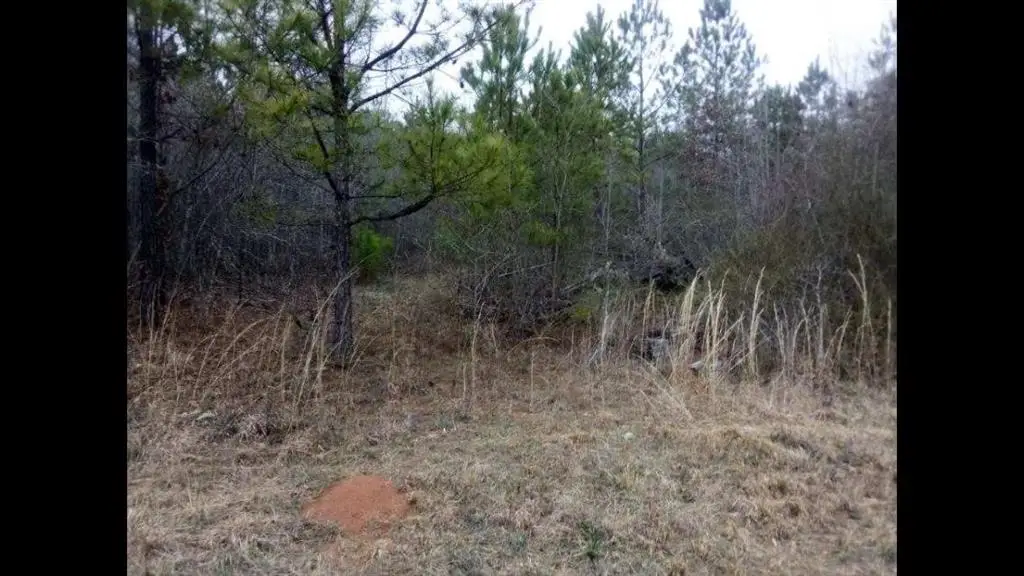 002 Old Woodbury Road, Woodbury, GA 30293 - #1