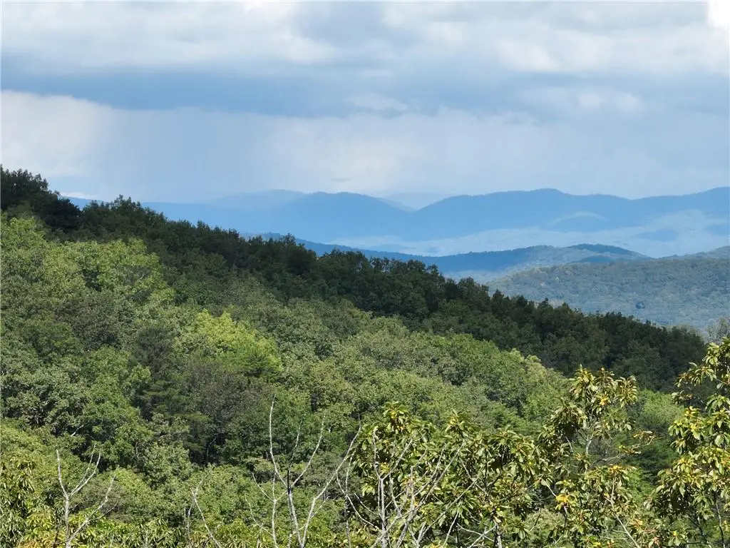 234 Stone Cliff Drive, Ellijay, GA 30536 - #1