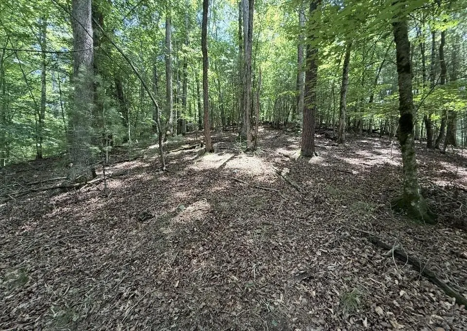 LT2607 Magnet Court, Ellijay, GA 30540 - #1