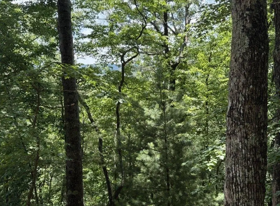 LT2607 Magnet Court, Ellijay, GA 30540 - #2