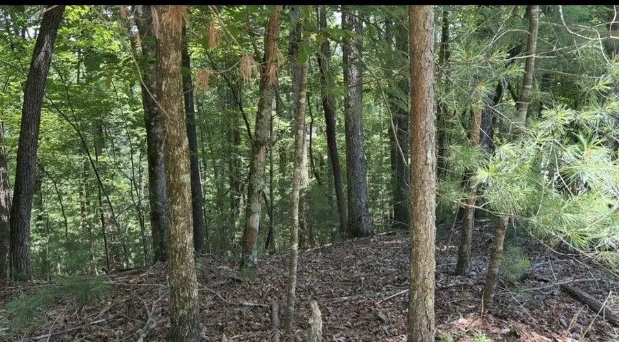 LT2607 Magnet Court, Ellijay, GA 30540 - #3